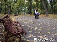 Осенняя пора