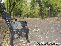 Осенняя пора