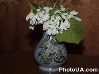Подснежники
