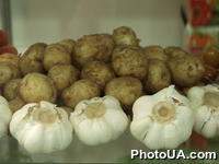 Овощная продукция. Картофель и чеснок