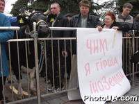 Возле Верховной Рады ходят поросята, куры и теленок. Участники акции протеста, требующие не снижать таможенные тарифы на импортные продукты, привезли под Верховную Раду теленка, поросят и кур