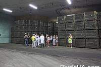 Artyomovsk Winery  на сегодняшний день - одно из крупнейших предприятий в Европе по производству игристого вина традиционным бутылочным способом.