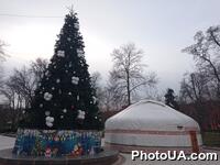 Київ непереможний передноворічний